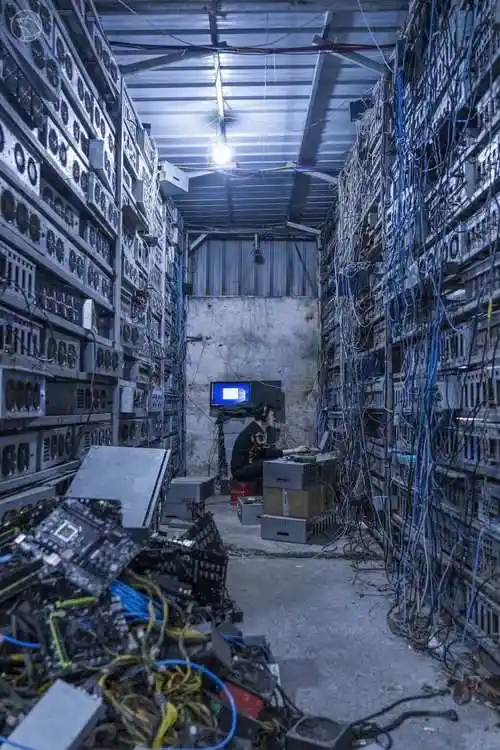 A modern mining farm setup in Dubai's Free Zone