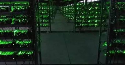 Immersion cooling in a Bitcoin mining farm, showing miners submerged in dielectric fluid