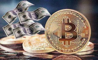 A collaborative mining project within a Dubai free zone